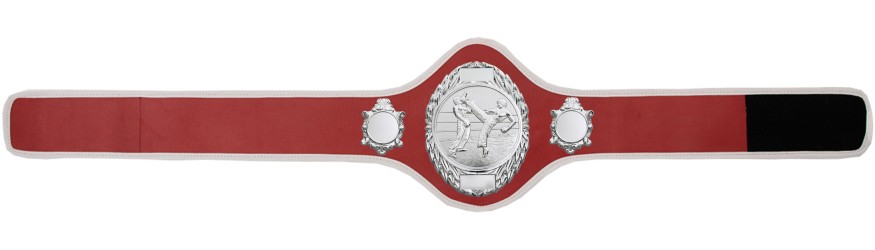 KICKBOXING CHAMPIONSHIP BELT-PRO286/S/KBOS-10+ COLOURS